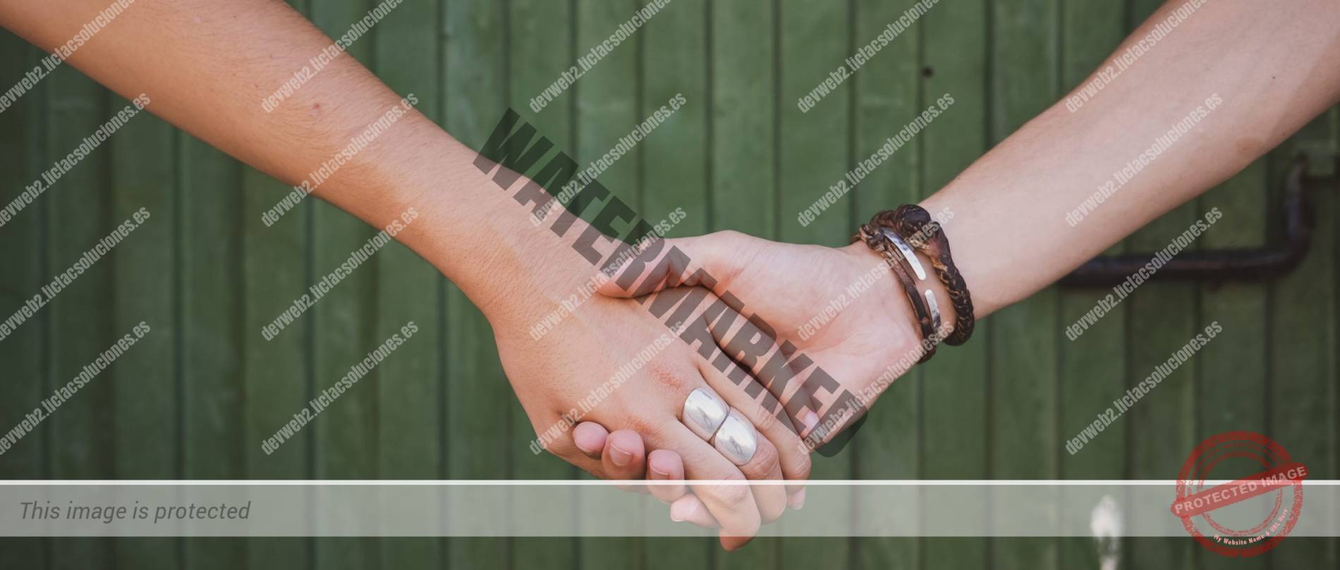 Preboda Paula + Nacho_31
